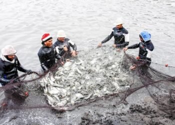 الأولي افريقيًا والسادسة عالميًا .. تعرف علي مشروعات الاستزراع السمكي في مصر ونصيب كل مواطن منها