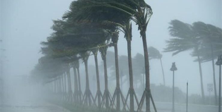 9 نصائح من خبراء الأرصاد للوقاية من تقلبات الطقس المتوقعة