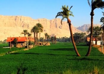 “الصعيد” تاريخ من النضال حتى التنمية