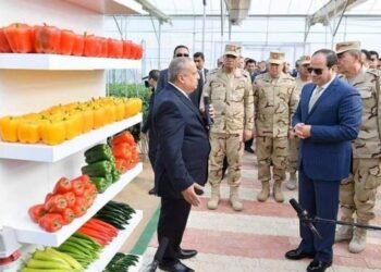 تعرف بالأرقام علي اهمية 224 مشروع زراعي لتحقيق الامن الغذائي