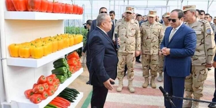 تعرف بالأرقام علي اهمية 224 مشروع زراعي لتحقيق الامن الغذائي