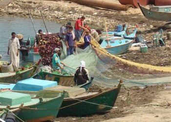 الزراعة: بحيرة البردويل مصدر دخل لمنطقة سيناء بالكامل