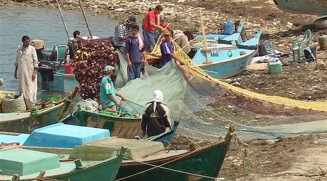 الزراعة: بحيرة البردويل مصدر دخل لمنطقة سيناء بالكامل