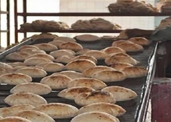 صاحب مخبز متهم بالاستيلاء على 14 مليون جنيه من أموال الدعم