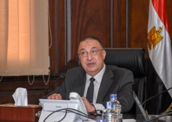 التفاصيل الكاملة لتأسيس مدينة المدابغ بمدينة “برج العرب”