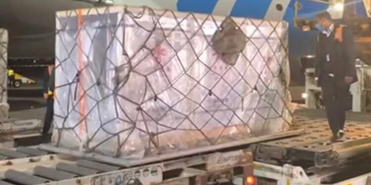 بالصور : مطار القاهرة يستقبل شحنة من لقاح كورونا الصيني