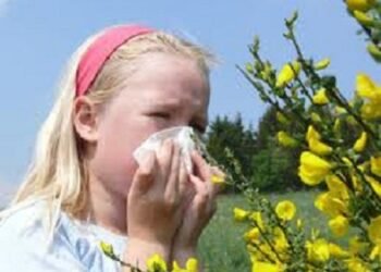 دراسة تحذر من زيادة إصابات كورونا مع زيادة تطاير حبوب اللقاح