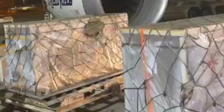 بالصور : مطار القاهرة يستقبل شحنة من لقاح كورونا الصيني
