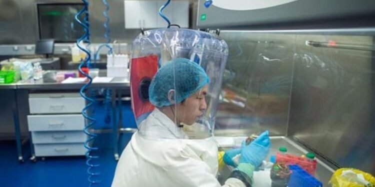 هل كورونا مصنَّع مخبريًا؟ وحقيقة اتهام معهد “ووهان” الصيني