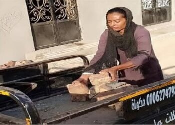 سائقة التروسيكل التي استجاب الرئيس لحالتها تروي قصتها