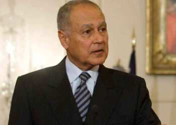 أبو الغيط: قريبا سيتحول الفلسطينيون إلى أغلبية بين النهر والبحر