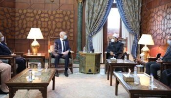 رئيس تونس وشيخ الأزهر يتفقان على تشكيل لجنة علمية لخدمة الثقافة الإسلامية