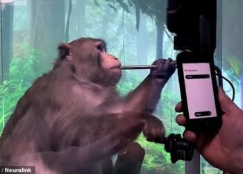 فيديو : نجاح شريحة “إيلون ماسك” علي القرود وتمنح أمل جديد لمرضي الشلل الدماغي