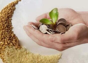 15 جنيه الحد الأدنى لزكاه الفطر ويجوز اخراجها نقدًا