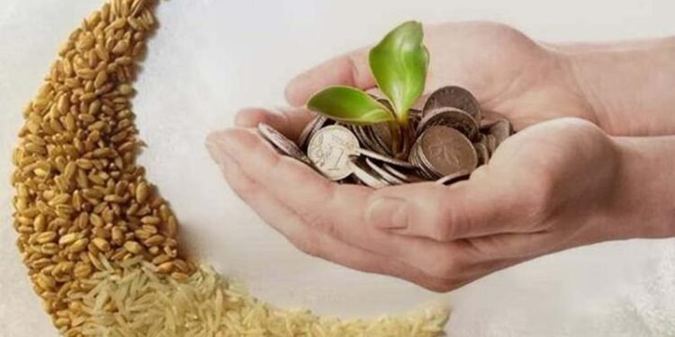 15 جنيه الحد الأدنى لزكاه الفطر ويجوز اخراجها نقدًا