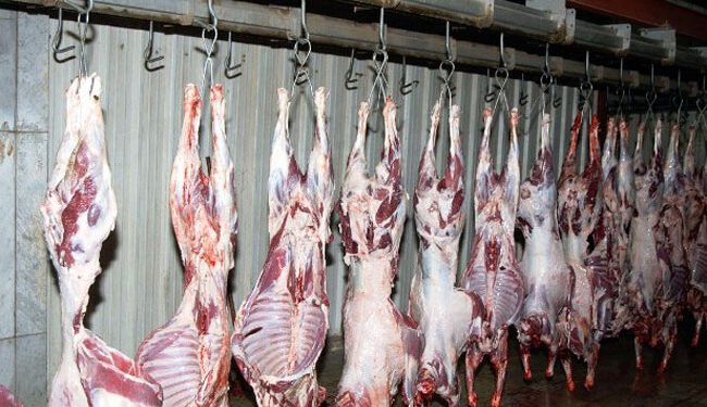 فتح المجازر مجانًا بالجيزة طوال ايام عيد الأضحى