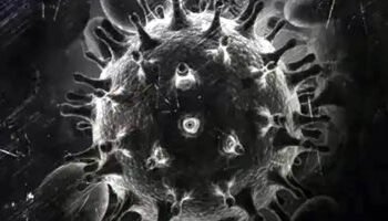 الصحة: الفطر الاسود نادر الاصابة بين الاطفال