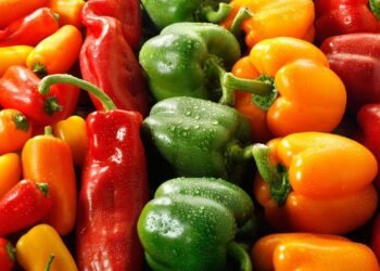 يقلل فرص الاصابة بالسرطان .. تعرف علي فوائد الفلفل الاصفر