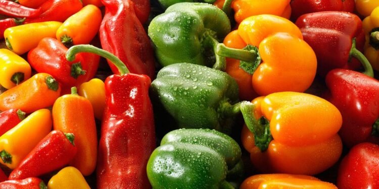 يقلل فرص الاصابة بالسرطان .. تعرف علي فوائد الفلفل الاصفر