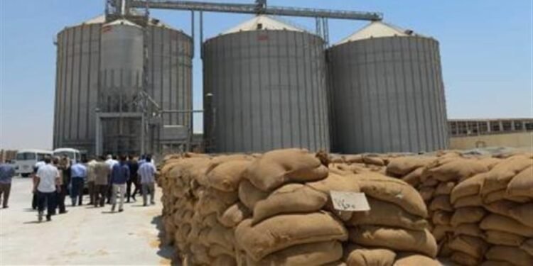 التموين تطبق مشروع ميكنة صوامع القمح بجميع المحافظات