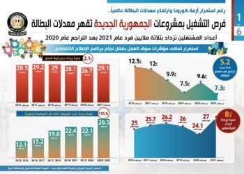 دور الجمهورية الجديدة في القضاء علي البطالة