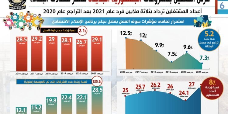 دور الجمهورية الجديدة في القضاء علي البطالة