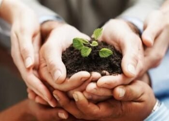 5 سبتمبر اليوم العالمي للخير .. كيف أحيت مصر هذه الذكري؟