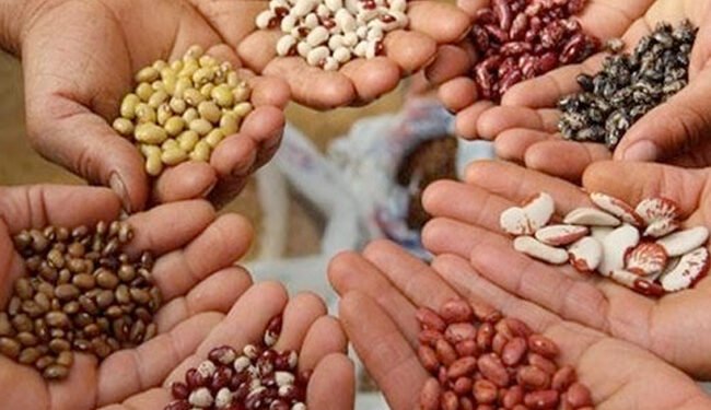 أهمية تحقيق الاكتفاء الذاتي ومستقبل الغذاء