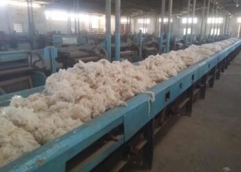 وزير قطاع الأعمال: 150 مليون جنيه تكلفة تطوير محلج الزقازيق المطور