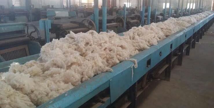 وزير قطاع الأعمال: 150 مليون جنيه تكلفة تطوير محلج الزقازيق المطور