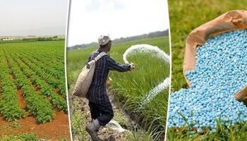 أزمة عالمية في الأسمدة ومصر تحتويها برفع السعر