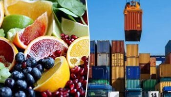 صادرات مصر من الاغذية ترتفع لـ 18%