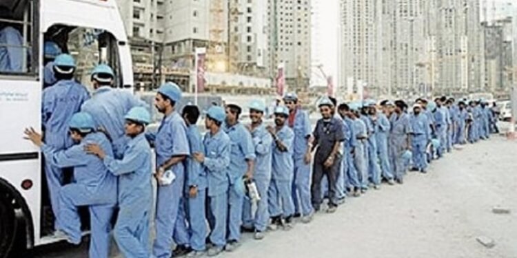 17 مليون وظيفة مهددة في افريقيا و 436 مليون مؤسسة تواجه مخاطر عالية من تعطل وظيفي حول العالم