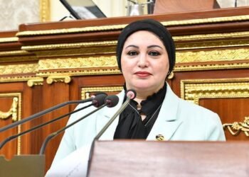 النائبة سولاف درويش تتقدم بمشروع قانون لحماية اللغة العربية