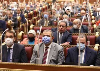 وزير القوي العاملة: نعد قانون مستقل للعمالة المنزلية