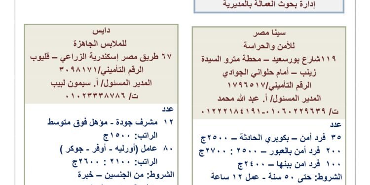 القوي العاملة: فرص عمل برواتب تصل لـ 10 الاف جنيه