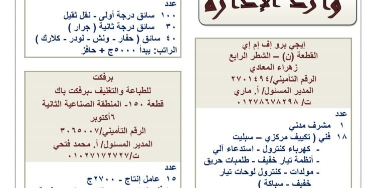 القوي العاملة: فرص عمل برواتب تصل لـ 10 الاف جنيه