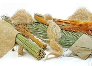 “جريد النخل” استثمار بملايين الدولارات يستحق التجربة