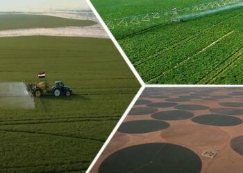 “الدلتا الجديدة” مشروع تحقيق الامن الغذائي بالجمهورية الجديدة