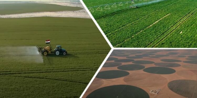 “الدلتا الجديدة” مشروع تحقيق الامن الغذائي بالجمهورية الجديدة