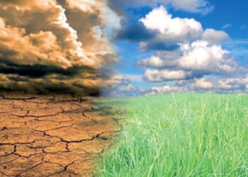 بـ 7.8 مليار دولار مصر تتبني 46 مشروع لمواجهة التغيرات المناخية