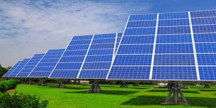 مشروعات “الطاقة الشمسية” وقود الجمهورية الجديدة ..شاهد