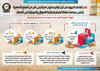 بالأرقام: جهود الدولة لتوفير مخزون أمن من السلع الأساسية