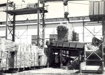 بدأت سنه 710 ميلادية .. تاريخ صناعة السكر في مصر