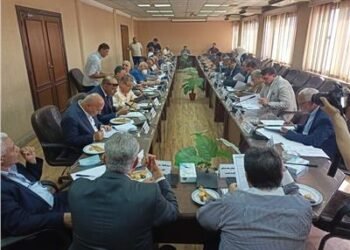 تعرف علي قواعد الانتخاب بمجالس إدارة وحدات القطاعين العام والأعمال