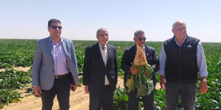 م. حسن كامل يكتب: مشروع توشكي بين الأمس واليوم