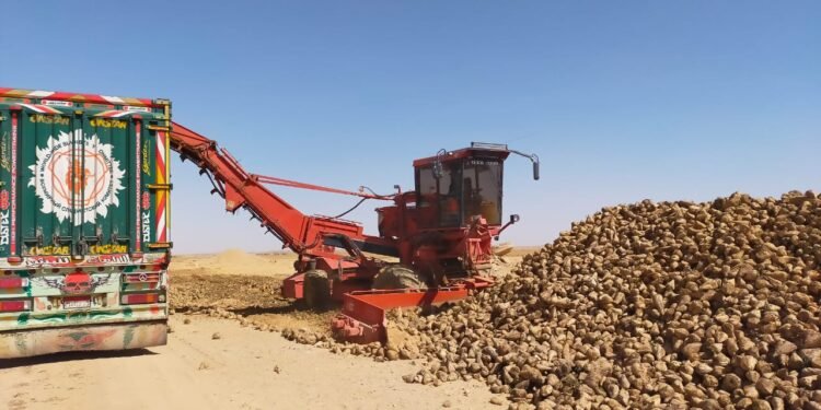 م. حسن كامل يكتب: مشروع توشكي بين الأمس واليوم