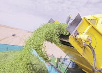 مدير مشروع مستقبل مصر: 2024 سيكون لدينا اكتفاء ذاتي من بنجر السكر