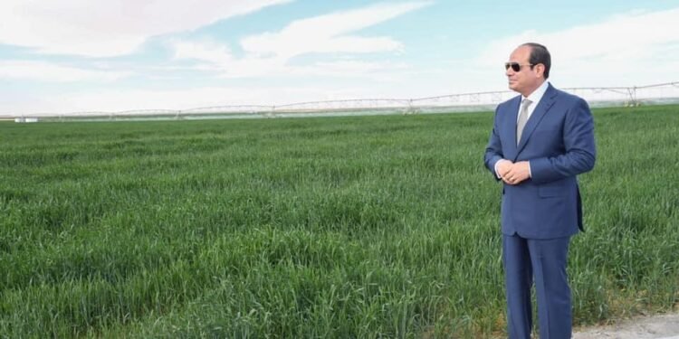 بتوجيهات رئاسية: 8سنوات من العمل الشاق لتحقيق اكتفاء ذاتي من الغذاء