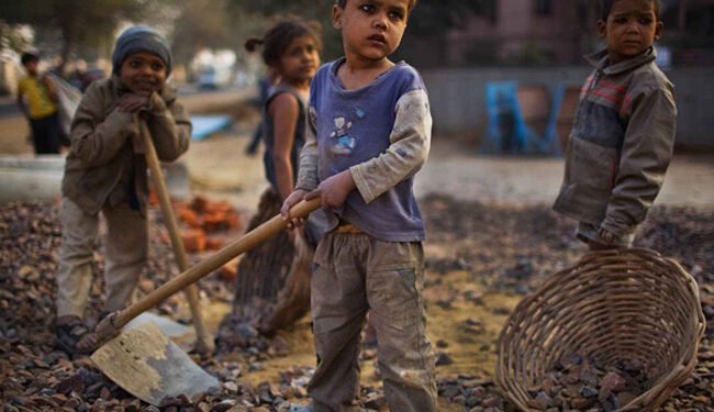 وزيرة التضامن توضح دور مصر في ملف “مكافحة عمالة الاطفال” في افريقيا